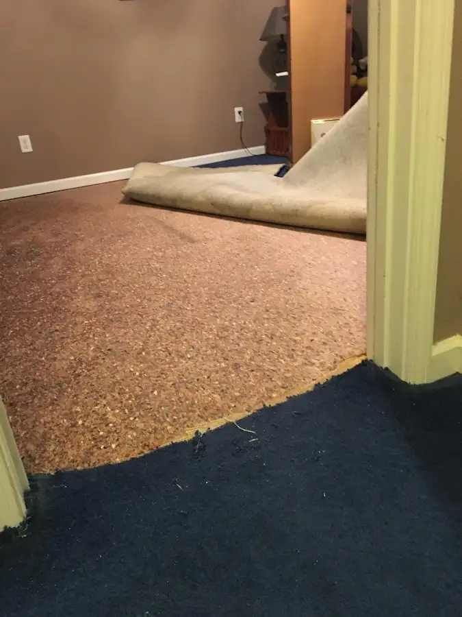 Carpet pad removal revealing water damage during Drying & Dehumidification in Bargersville