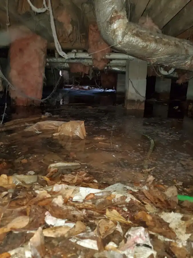 Crawl space flood assessment for Commercial Water Damage Restoration in Bargersville